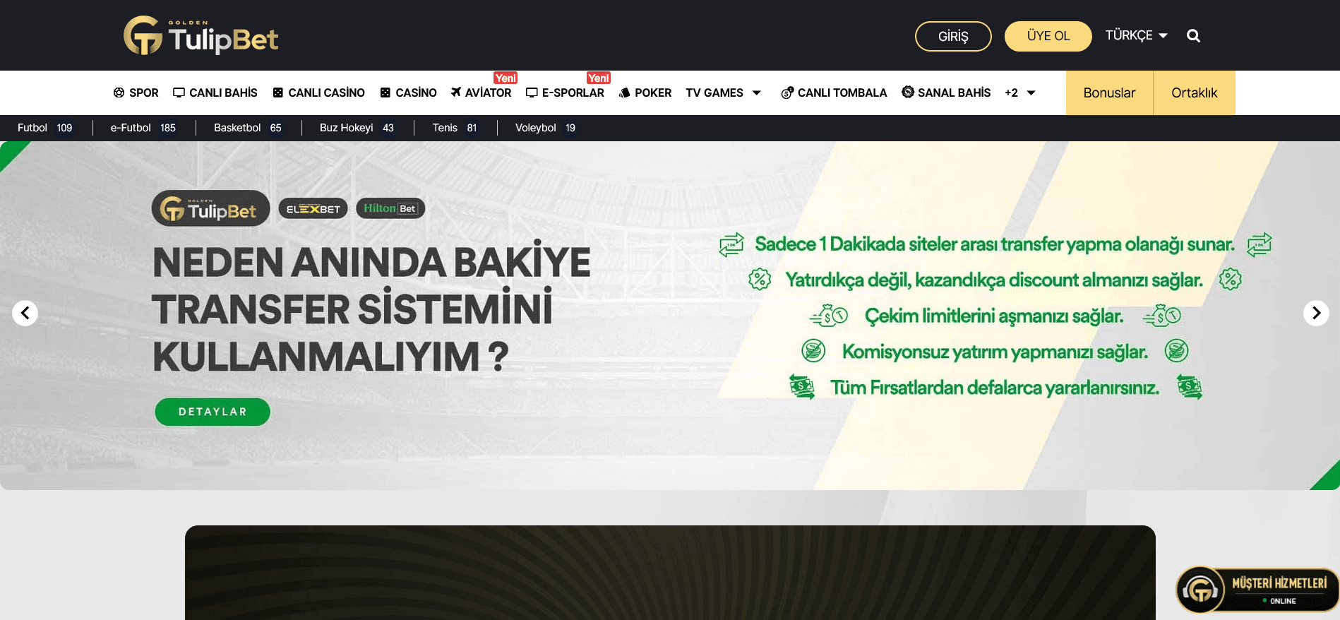 tulipbet-guncel-giris-adresi-png